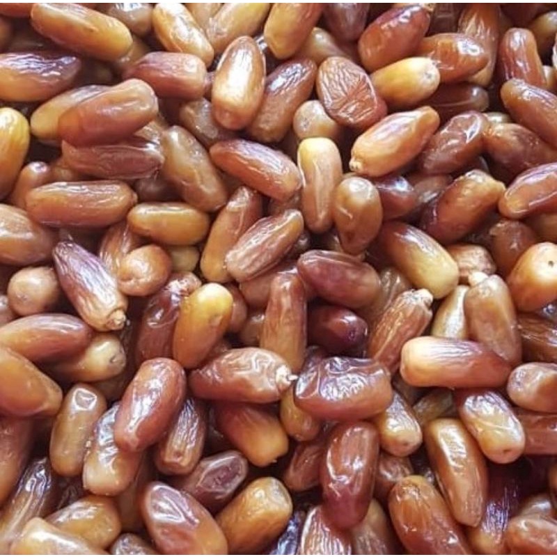 kurma tunisia 1kg/kurma tunisia madu /kurma madu madinah