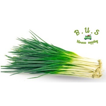 

Daun Bawang Cung/Kecil 1kg B.U.S