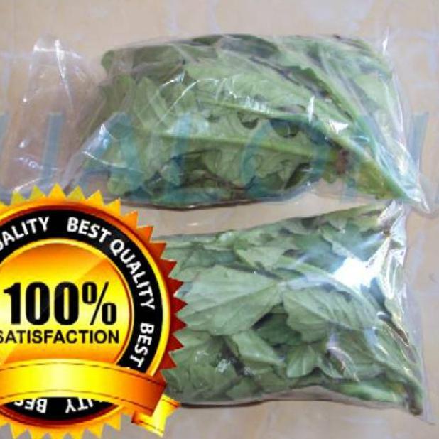 

[PRODUK AIBUL] daun dewa segar asli organik 100gram bukan tapak liman tanpa pestisida 0KB