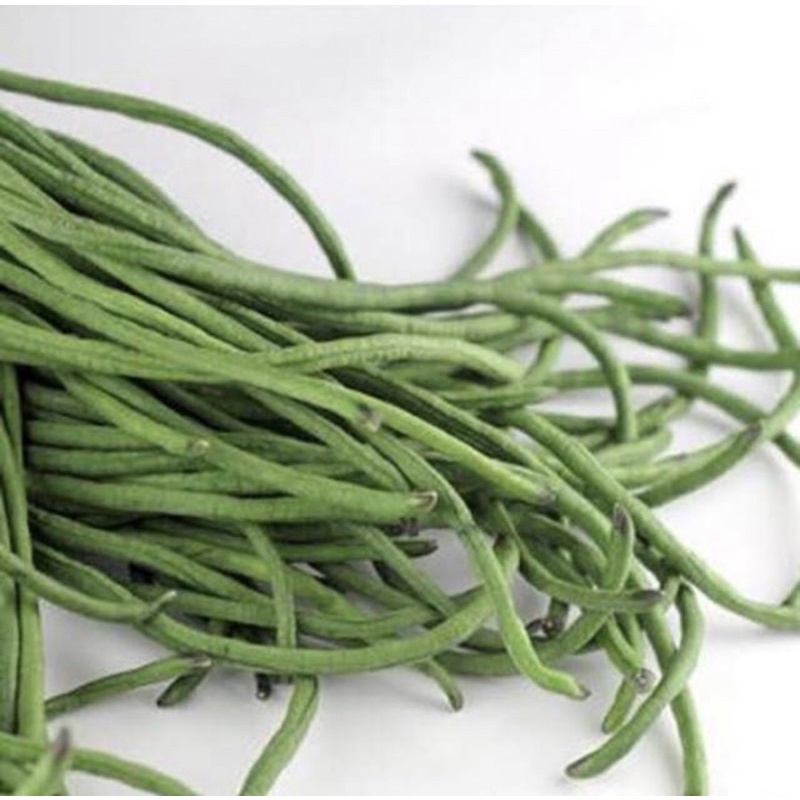 

PROMO TERMURAH KACANG PANJANG IKAT MURAH MERIAH