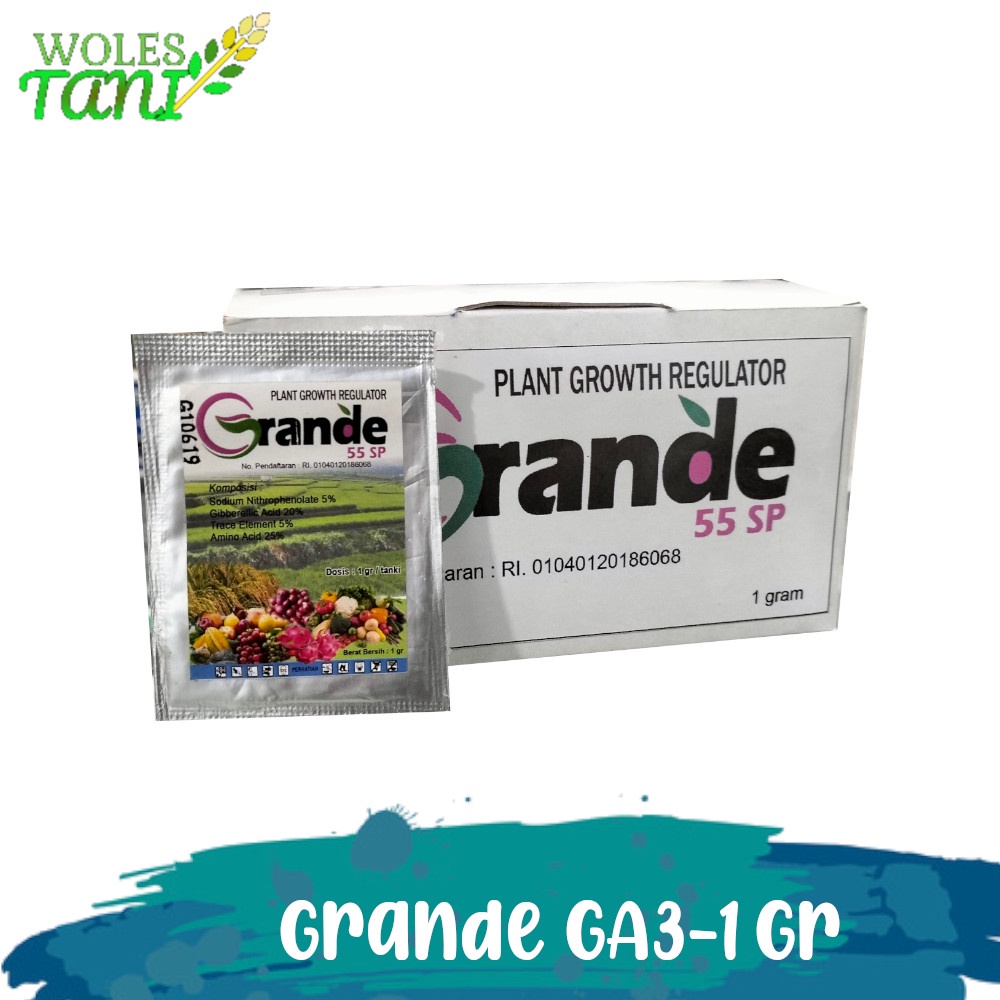 ZPT Grande 1 Gram Hormon Giberelin