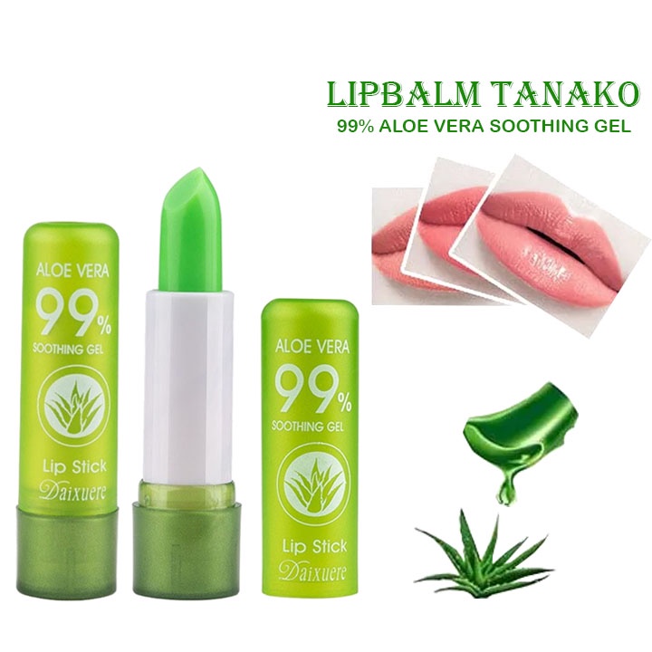 Beauty Jaya - Lipbalm Tanako Pelembab Bibir Aloe Vera 99% - LIPSTIK ALOEVERA Lip Gloss