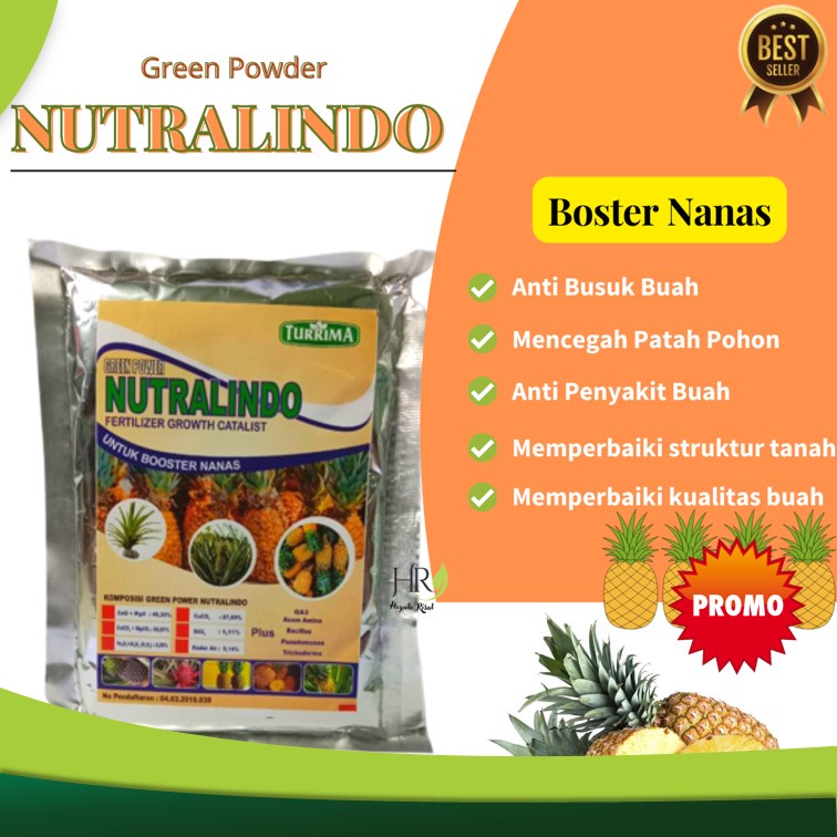 Pupuk Perangsang Pelebat Buah Nanas, Booster Organik Tanaman Buah Nanas, dan Memperbesar Buah Nutral