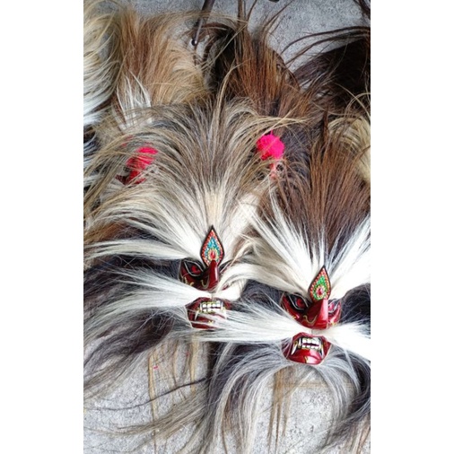 Bujang Ganong Pakem rambut asli ekor kuda