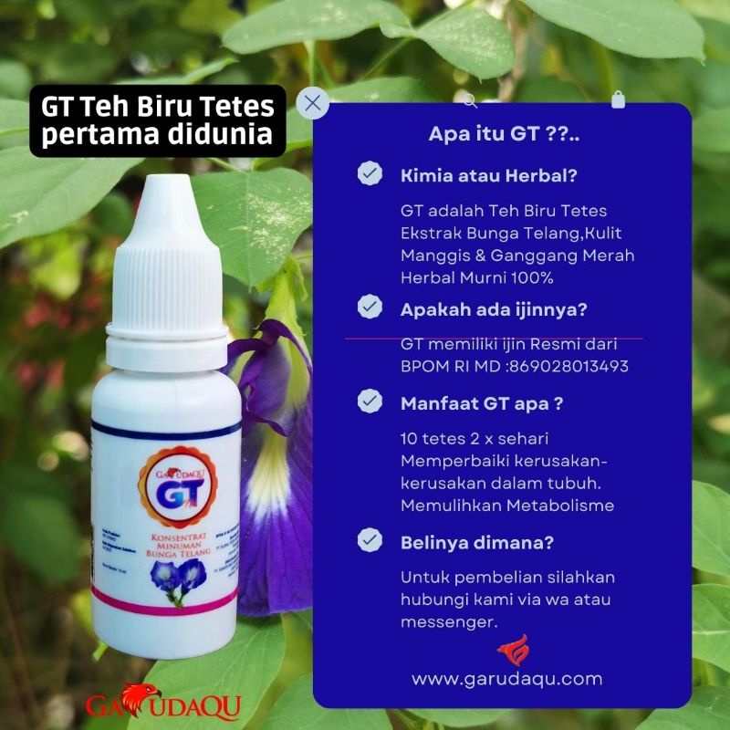 Herbal Tetes Teh Bunga Telang GT Merk GARUDAQU BPOM ORIGINAL