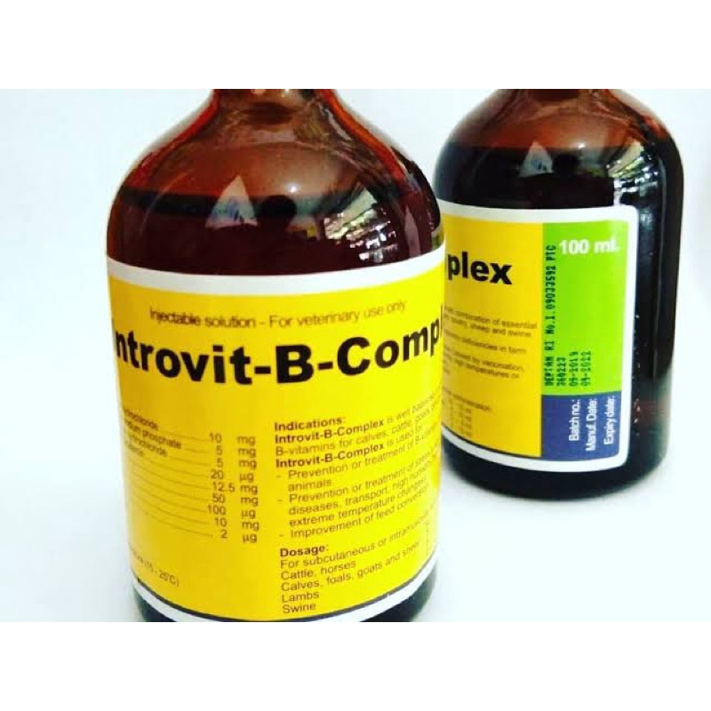 Introvit B Complex