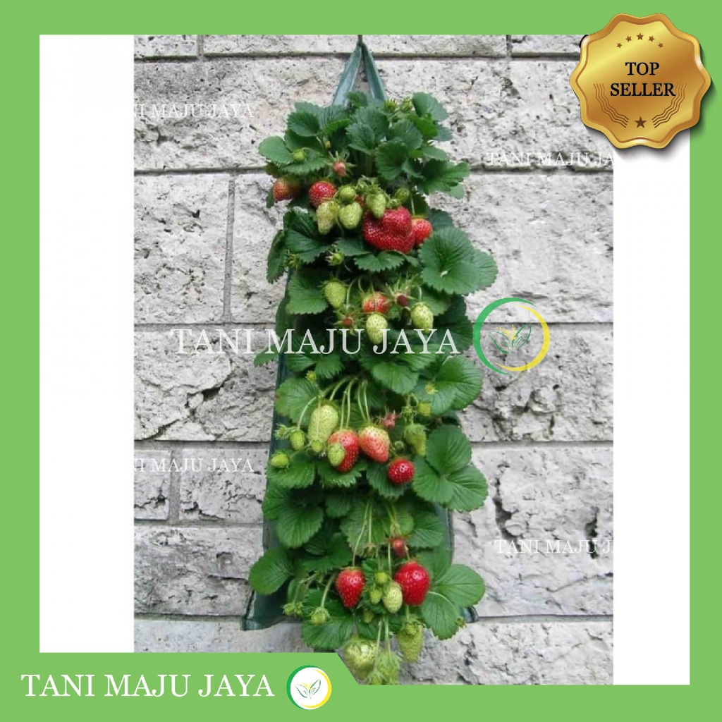 Plant Pouch Planter Bag 5 Slits PlanterBag Kantong Tanaman Gantung