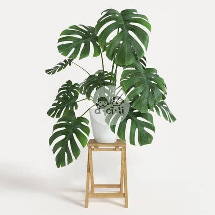 Daun Bunga MONSTERA Imitasi Palsu Artificial Aesthetic Hiasan Tanaman Rumah