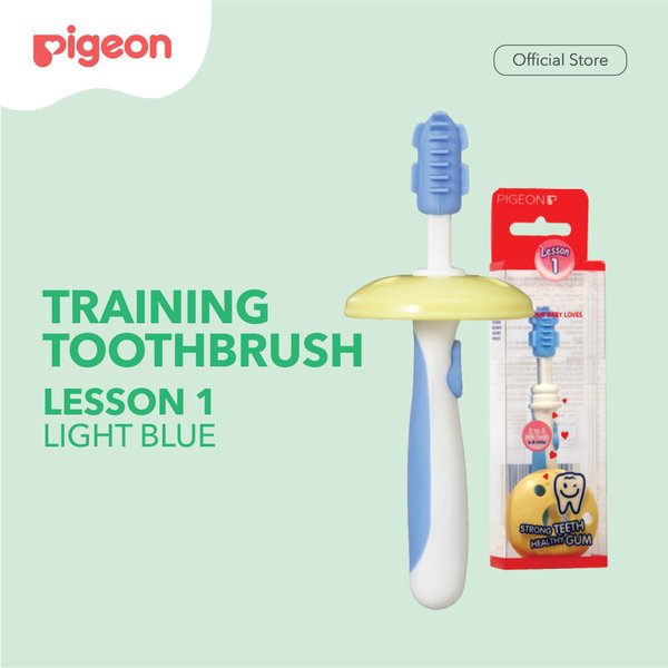 PIGEON TRAINING TOOTHBRUSH LESSON 1