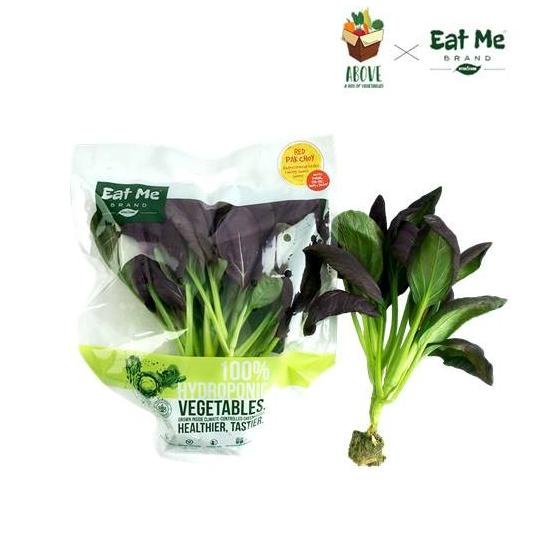 

Red Pak Choy Pack Hidroponik- ABOVE x EATME Brand