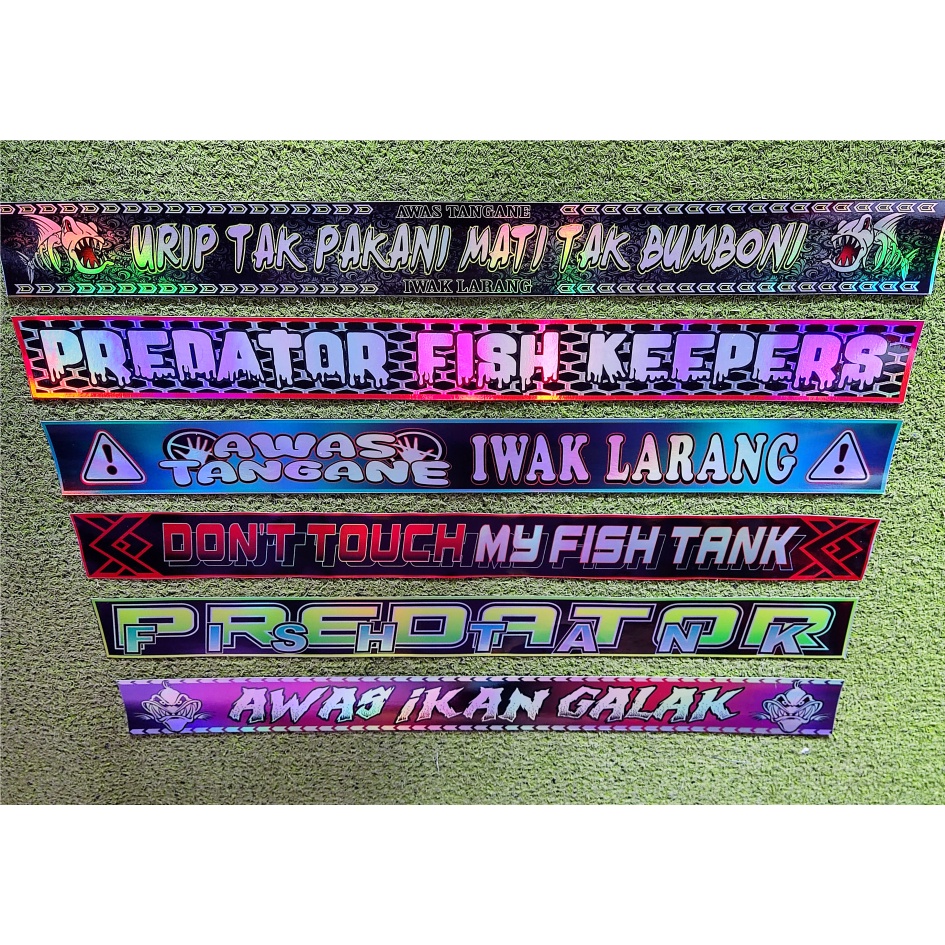 STIKER AKUARIUM IKAN GALAK HOLOGRAM / IKAN CHANNA