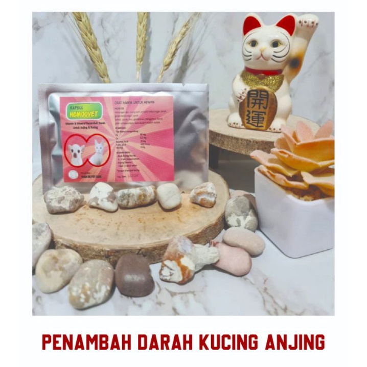 Hemoovet penambah darah anemia kucing anjing