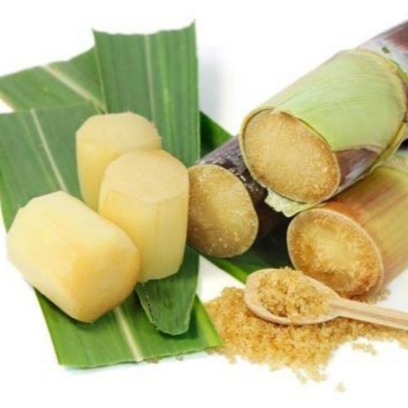 

Tebu Merah Pres Segar 1 Kg Sudah Kupas Organik