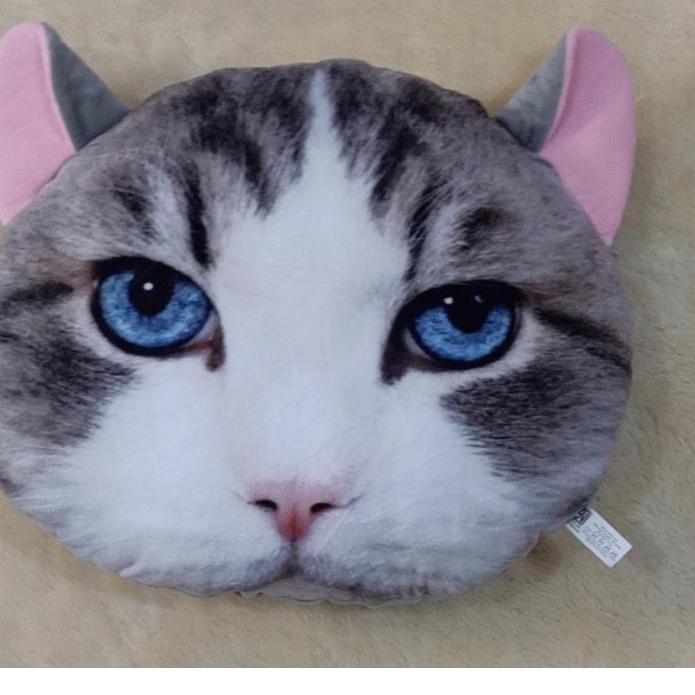 Bantal Kucing, Bantal Kepala Kucing, Cat Cushion