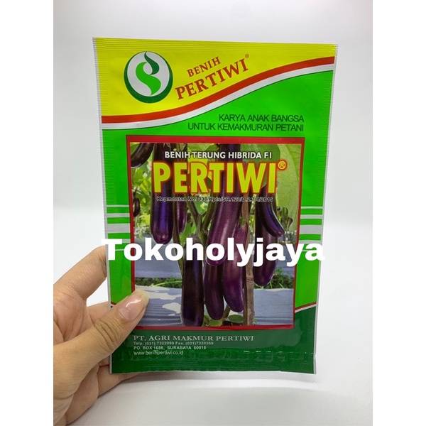 Benih terong ungu PERTIWI F1 5 gram terong panjang terung ungu