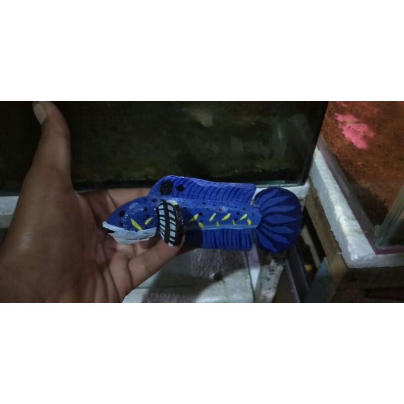 Patung channa murah,boneka channa,penggoda channa,replika channa,Blue Pulcra