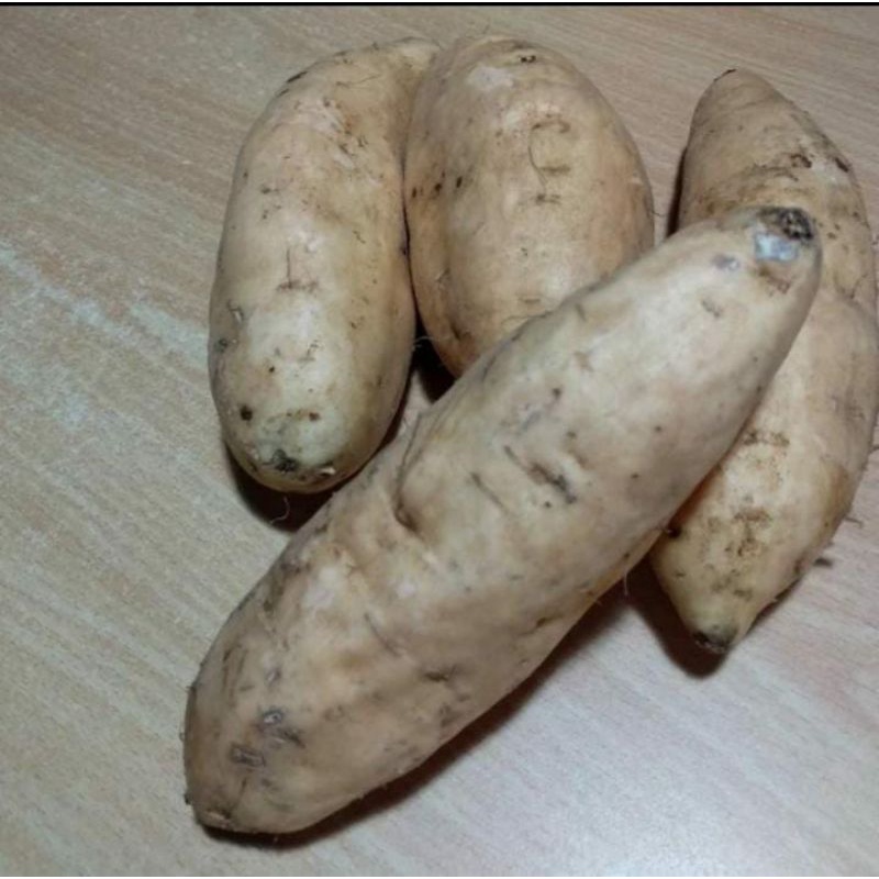 

Ubi Cilembu/ubi madu organik 1kg