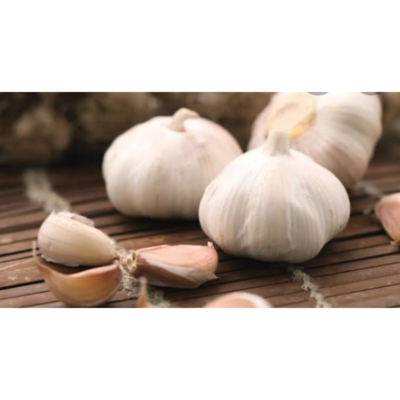 

bawang putih 250gr