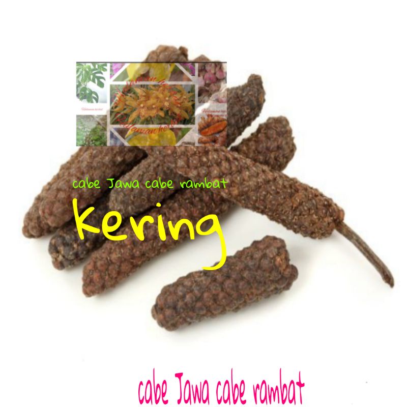 

Cabe jawa kering /10 biji