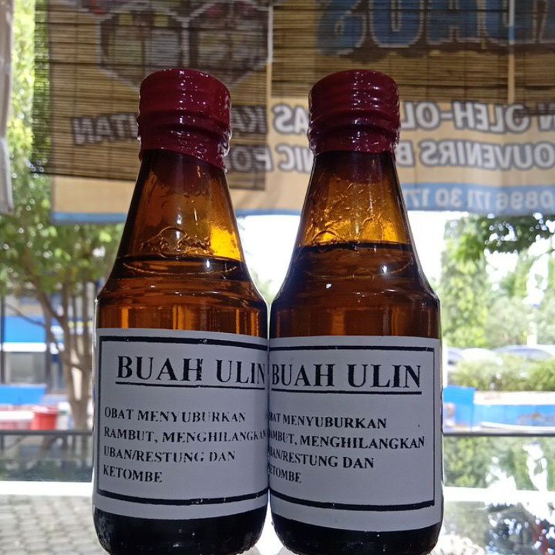 MINYAK BUAH ULIN