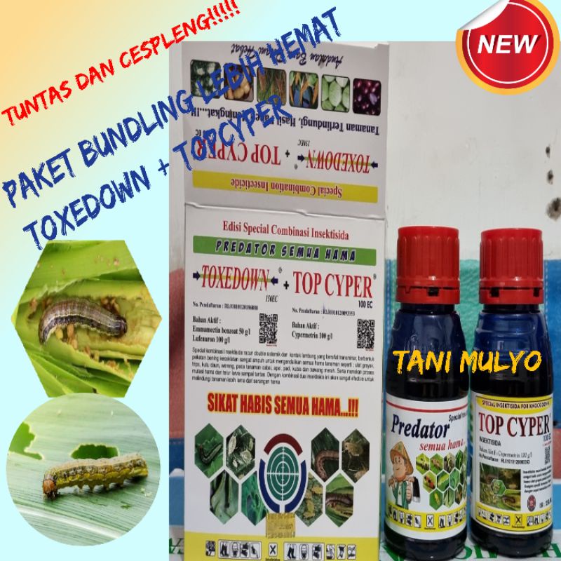 PAKET BUNDLING TOXEDOWN PLUS TOPCYPER 250 ML