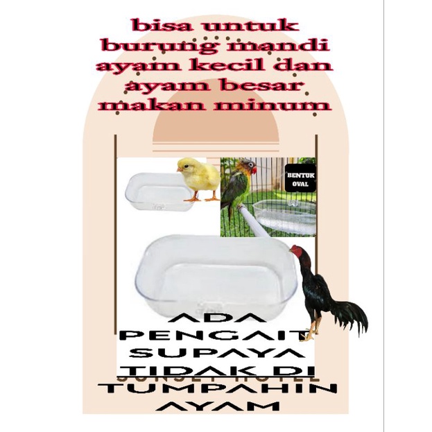 CKELITEB tempat makan minum kait ayam cangkir burung mandi wadah hamster kelinci makan minum