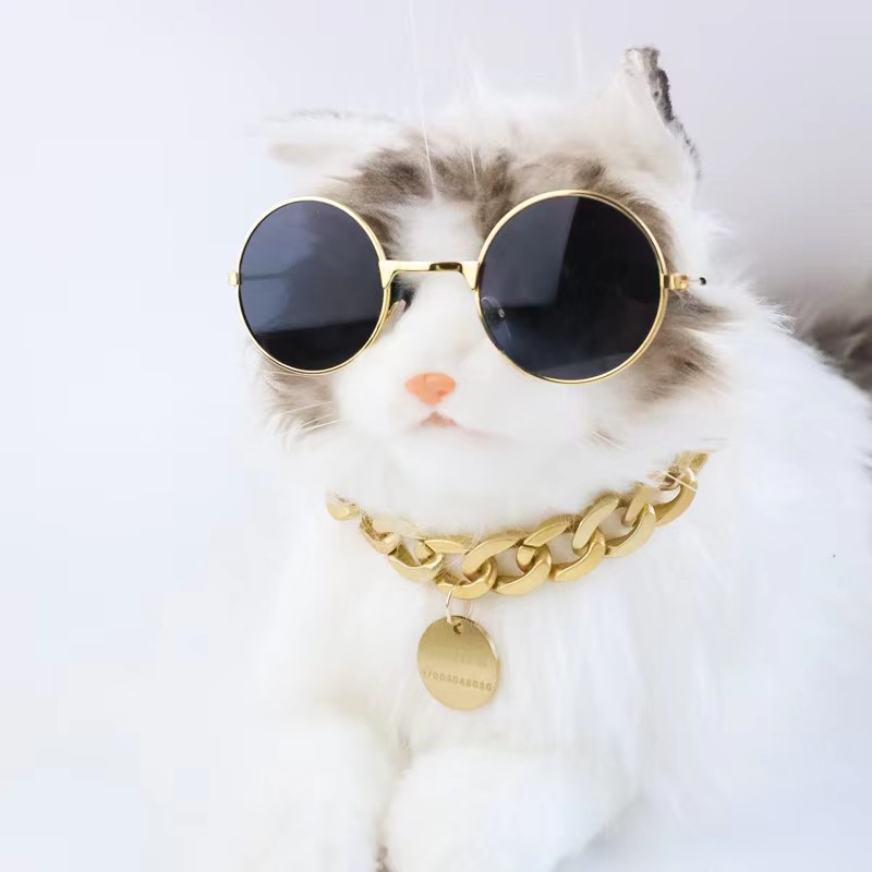 Kalung Hewan Peliharaan Anjing Kucing fashion Rantai Emas