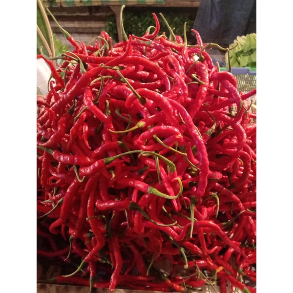 

cabe merah keriting/250gram Rp 15.000