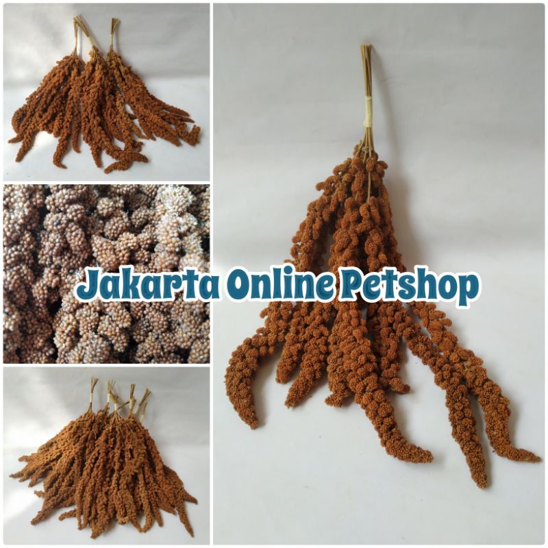 [JOP] Jewawut Tangkai  Spray Milet Merah 100gr