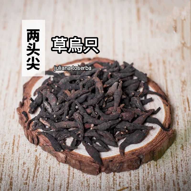 

Chau Wu Che 草烏只 Kusnezoff Monkshood Root 50 gram