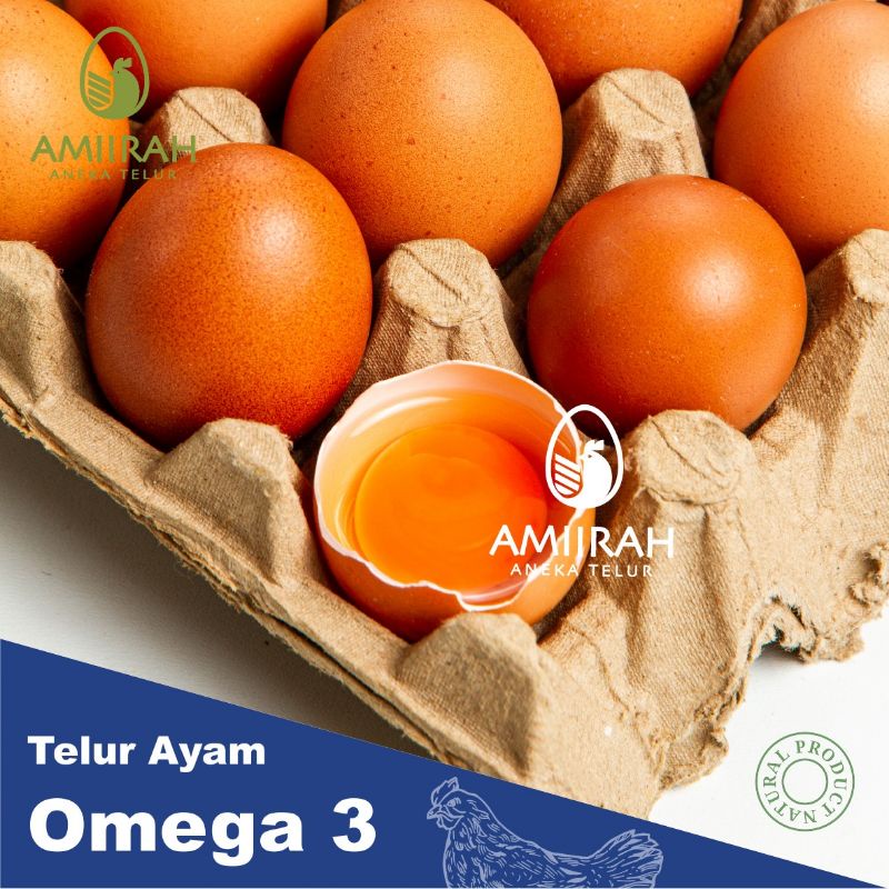 

Telur ayam negeri omega 3 per kg ( isi 15 -17 butir)