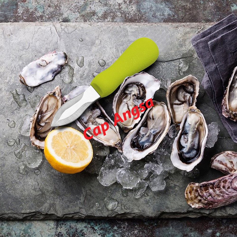 PISAU TIRAM ALAT PEMBUKA KERANG CUNGKIL CONGKEL BUKAAN SHEL FISH OYSTER KNIFE SHELFISH SHUCK KNIFE