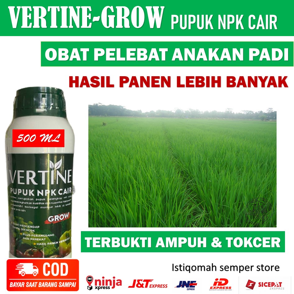 (PROMO) OBAT PELEBAT ANAKAN PADI PUPUK VERTINE GROW UNTUK PADI - Pupuk Cair Pelebat Anakan Padi Hasi