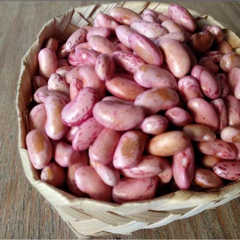 

Kacang Merah Fresh Organik 250gr