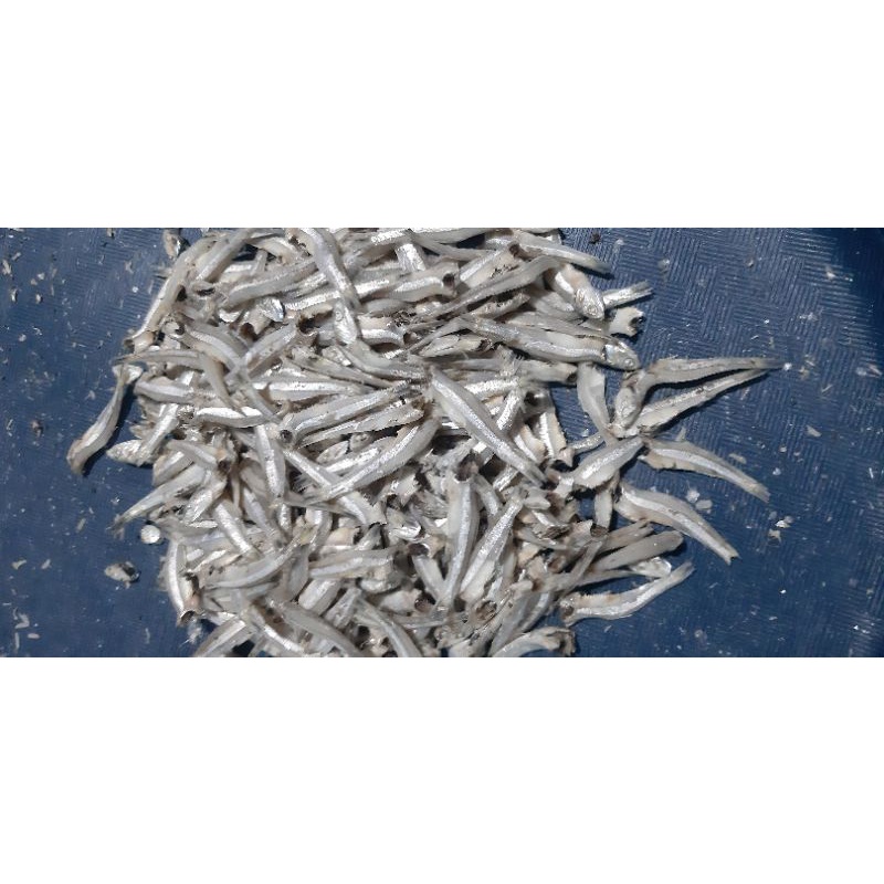 

Teri jengki Bulat 250gr 500gr