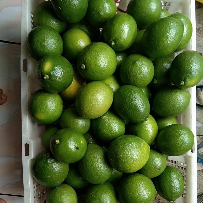 

Jeruk lemon hijau Austra 250g+