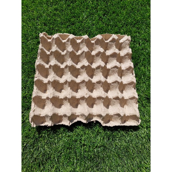 

Egg Tray Kardus Karton