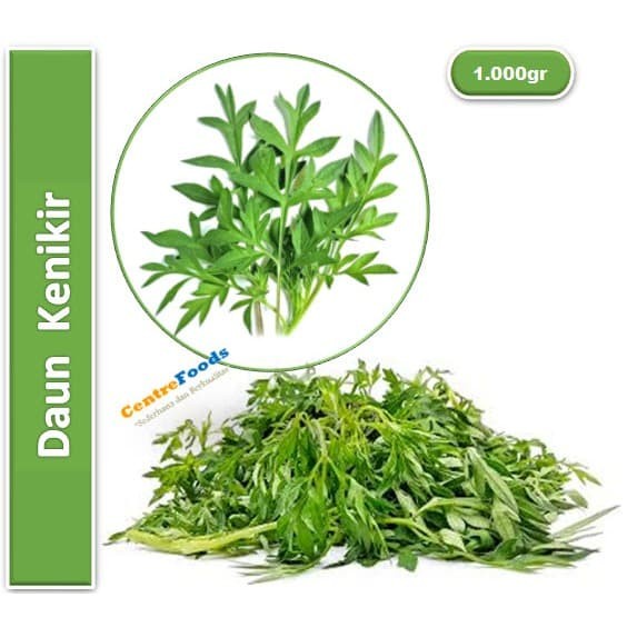 

Daun Kenikir - Daun Ulam Raja Fresh | 1.000gr [ Harga Per KG ]