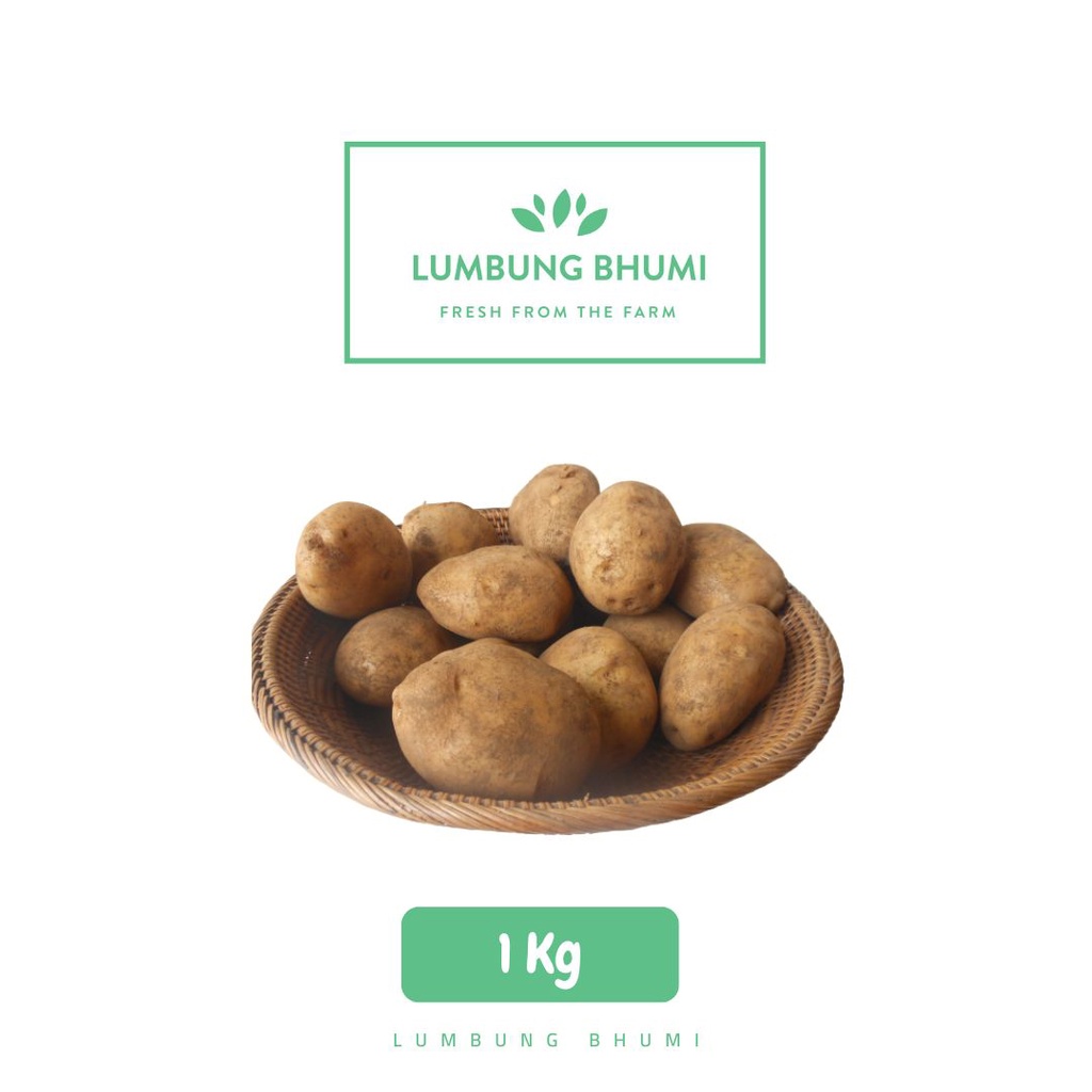 

Lumbung Bhumi - Kentang Dieng Sedang 1 Kg ( Sayur Curah )