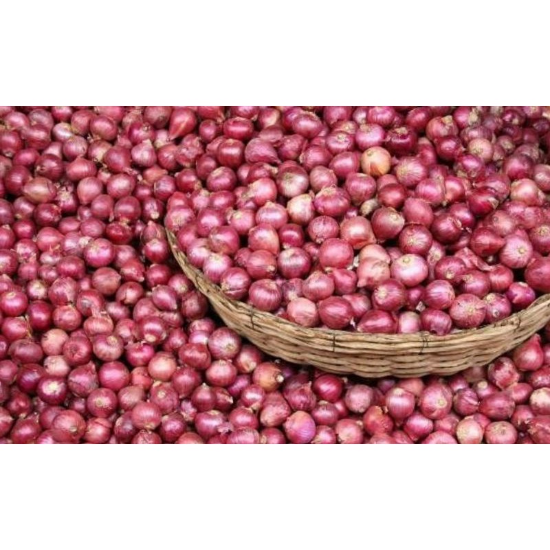 

bawang merah