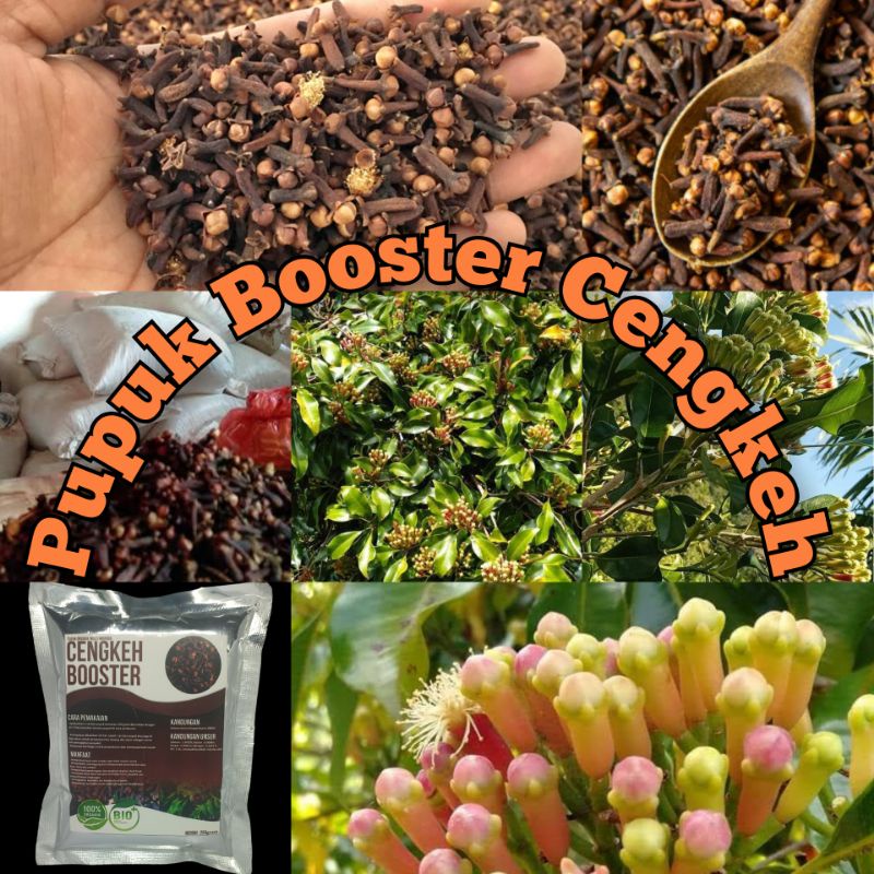 Pupuk booster cengkehMurah Pupuk booster buah organik non kimia pupuk cair kilat npk urea merah pele