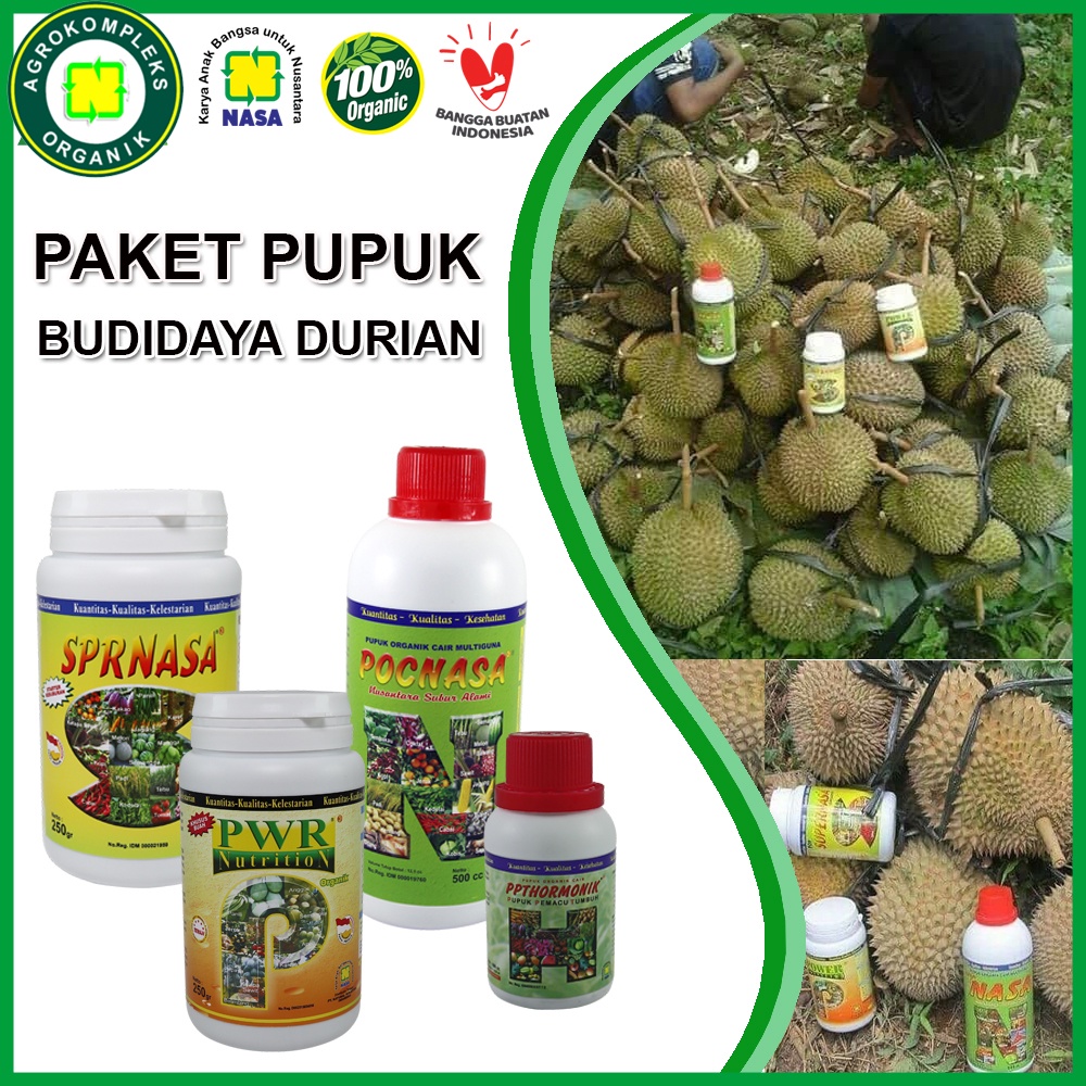 Pupuk Pelebat Buah Durian | Pupuk Nasa Organik Untuk Durian Power Nutrition Supernasa Hormonik Poc N