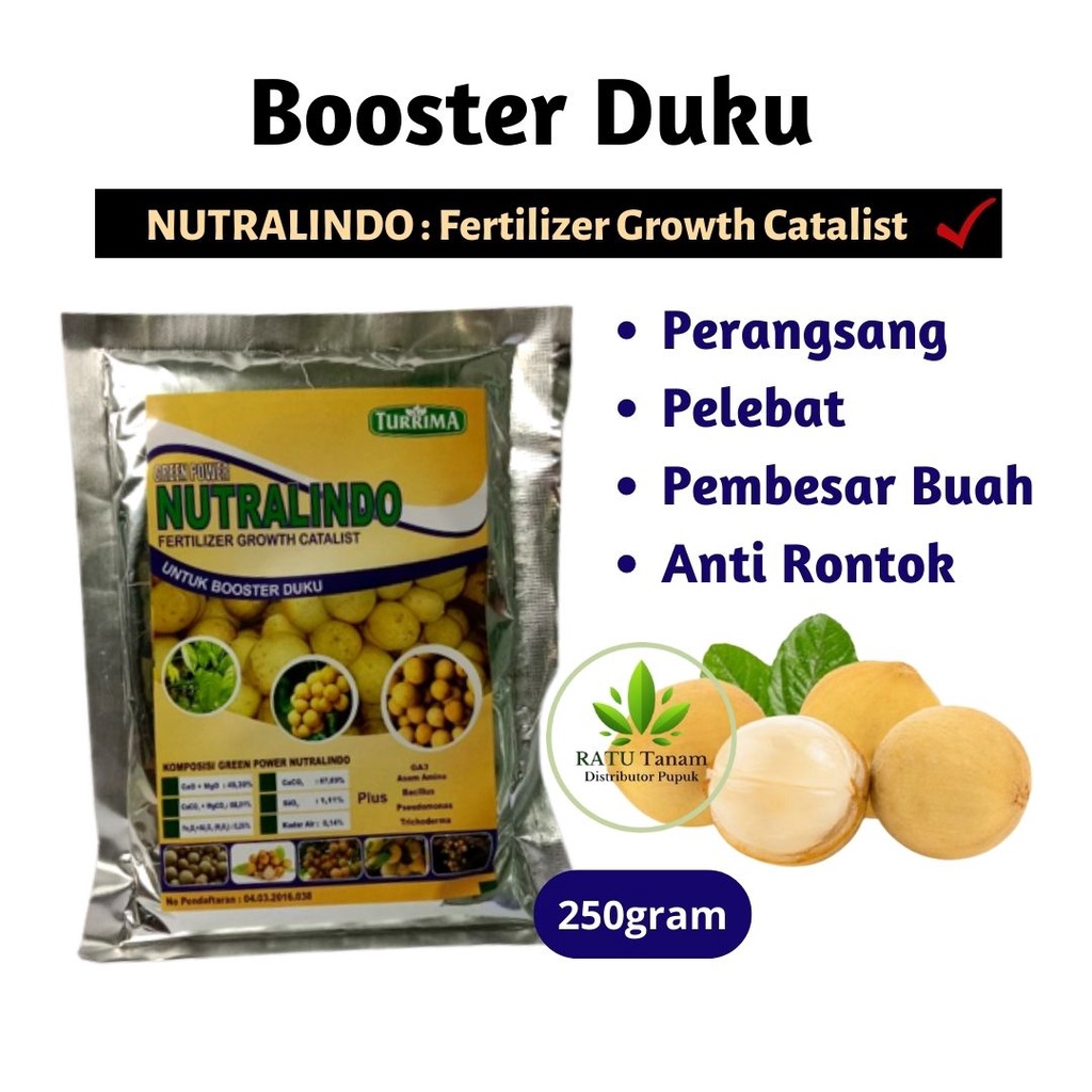 Pupuk Duku Cepat Berbuah, Booster Buah Duku Langsat Anti Rontok Daun, Pupuk Booster