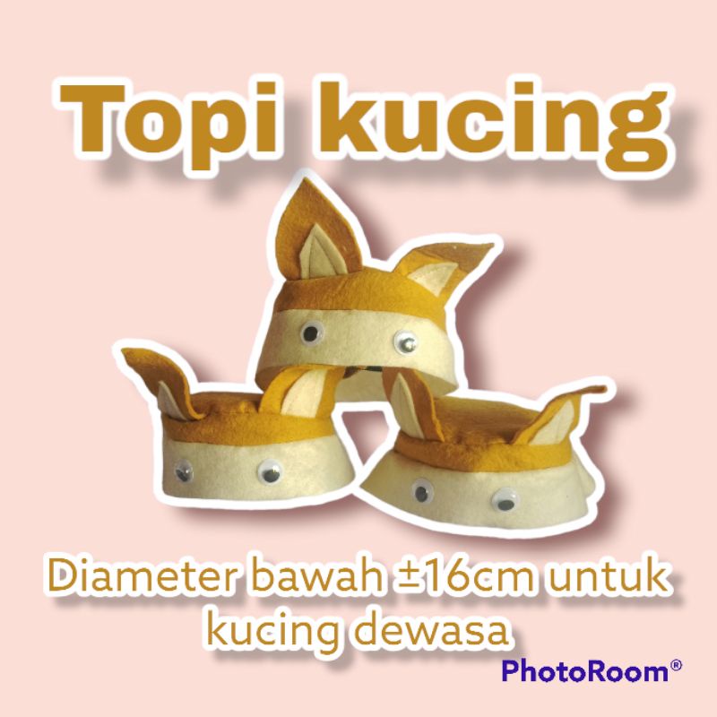 Topi kucing murah model bucked hat