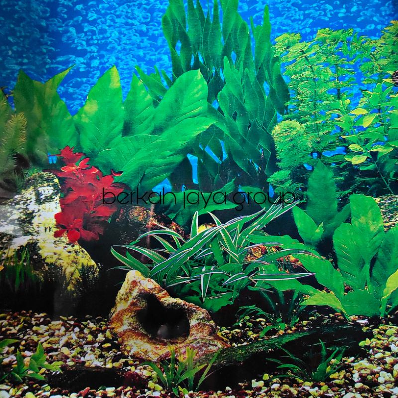 background aquarium motif Tumbuhan