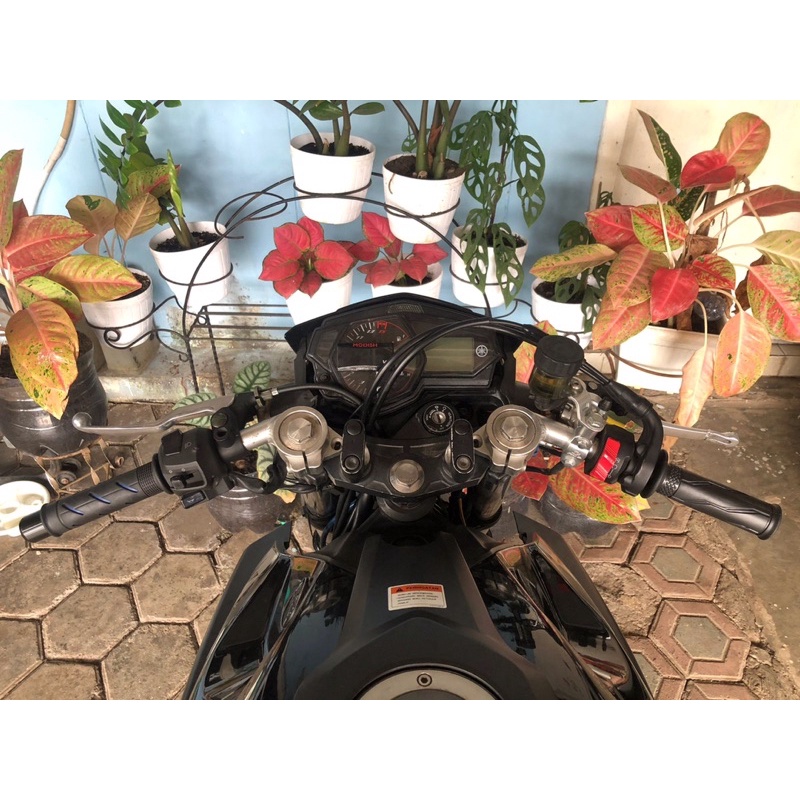 stang bpro race r25/mt25