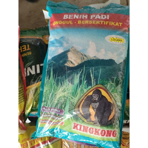 BENIH PADI LOGAWA KEMASAN PREMIUM