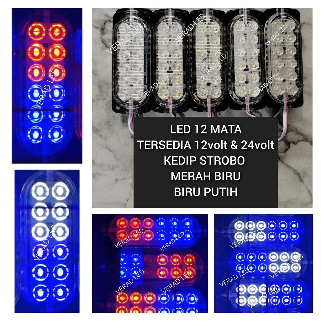 LAMPU 12 MATA ULTRASONIC KEDIP 2 WARNA 12VOLT 24VOLT 12V 24V