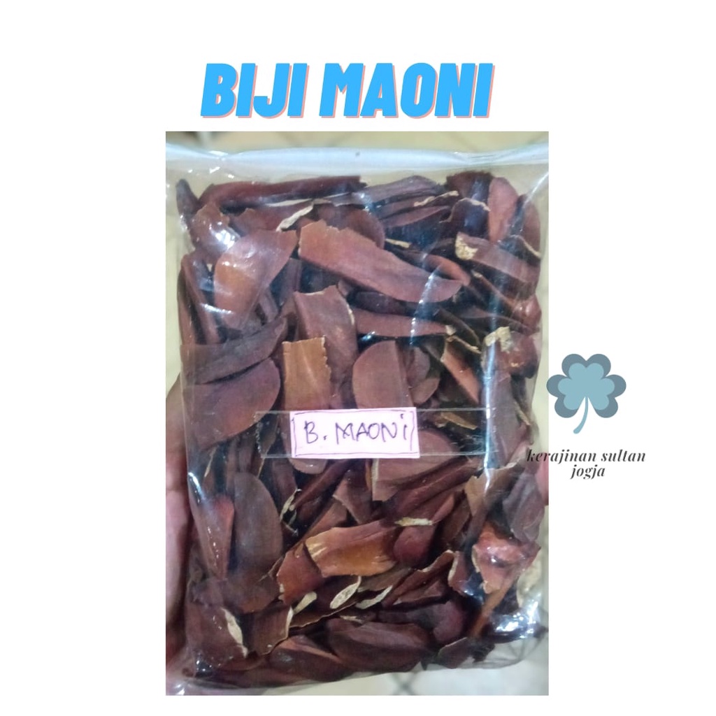 

BIJI BUAH MAHONI KERING BISA COD –KUALITAS TERBAIK