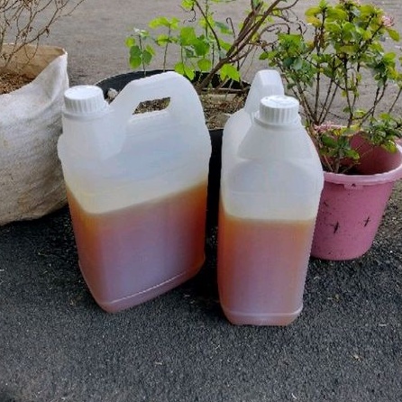 

Madu Curah Kelengkeng 5 kg